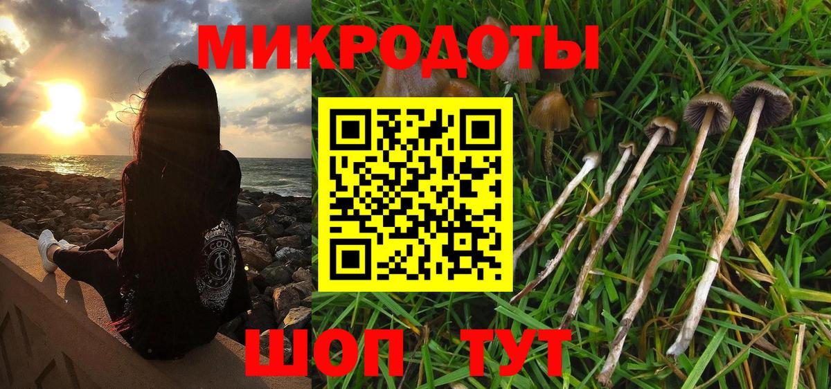 Псилоцибиновые грибы Cubensis Вятские Поляны