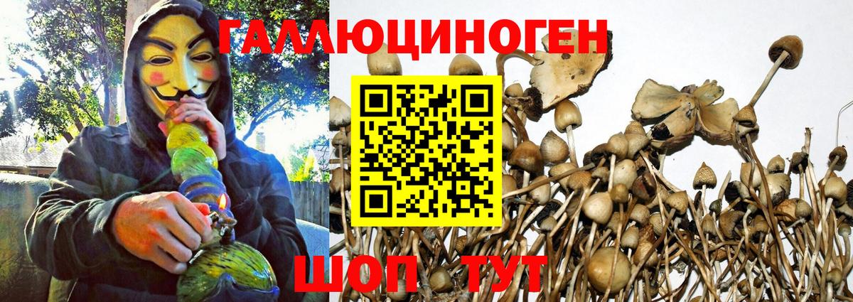 как найти закладки  Галлюциногенные грибы Psilocybe  Вход с VPN  Галлюциногенные грибы прущие грибы  Вятские Поляны 