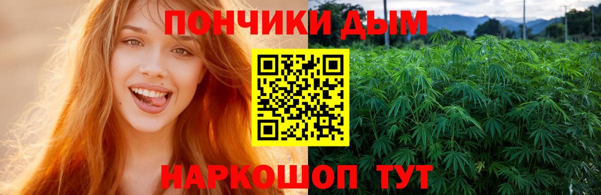 Бошки Шишки ГИДРОПОН Вятские Поляны